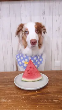 食べ終わると食べた記憶がなくなります