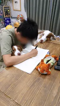 中学生のお兄ちゃんの勉強のお供リリガルです️