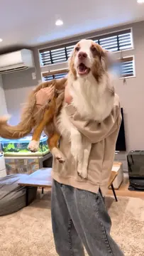 自分の大きさががわかっていない抱っこ好きな子達