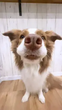 お口ぷっくり可愛い♡