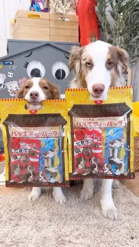 今年もリリガルの大好きなおやつ屋さん、 みちのくファームさんとコラボします✨ 第15回 インターペット東京 2026年4月3日（金）– 5日（日） みちのくファームさんのブース【E1 B008】 数量限定で販売します✨…