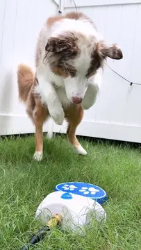 気に入ってくれてよかったです笑