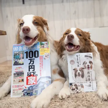 今日は嬉しいお知らせが2つあります ①掲載のお知らせ 移住・趣味・物件など、田舎暮らしのお役立ち情報を発信している 宝島社『田舎暮らしの本』6月・7月合併号（5月1日発売）の別冊付録にて、 「リリガル」を特集していただ…