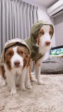 カッパキャンセル界隈なリリガル☔