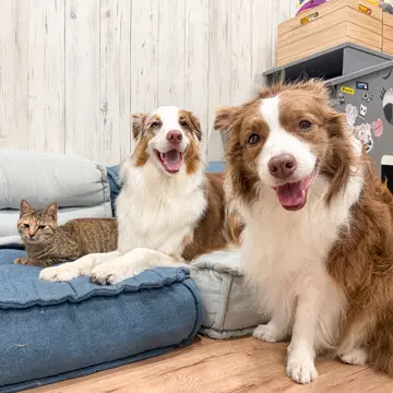 たまちゃん遊びに来たよ