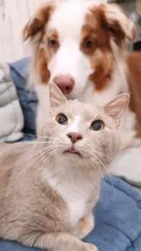 もこちゃんが遊びに来ました〜