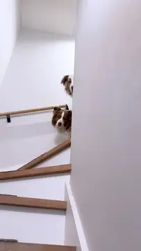 家の中どこでも一緒に居たいリリガルです