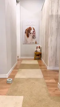 久しぶりにお鼻動画