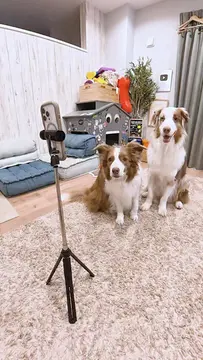 久しぶりに自撮リリガルです✨