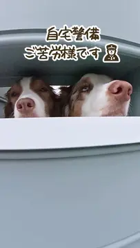 自宅警備リリガルです