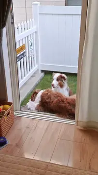 久しぶりに通れないガルちゃんです