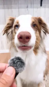 久しぶりの小さい声です