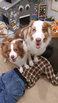 パパにマッサージをしました️