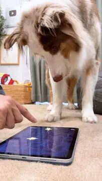 タブレット壊れるかと思いました笑