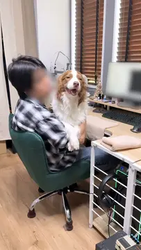 自分の大きさに気づいてないお膝大好きリリガルです笑