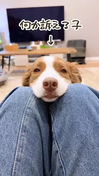 これは断れない、、、あざとさMAXおねだり‍♀️